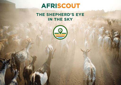 Transforming Pastoralist Livelihoods with the AfriScout App